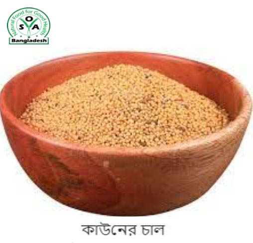 kaun rice (কাউনের চাল)